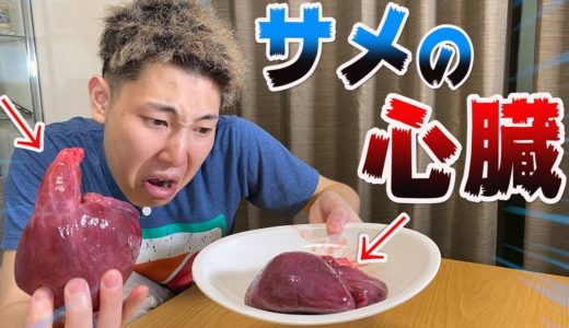 【ゲテモノ？】サメの心臓かぶりついてみた。