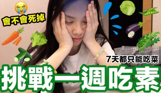 一整週都不能吃肉!? 吃7天的素食到底會如何.. ♥ 滴妹