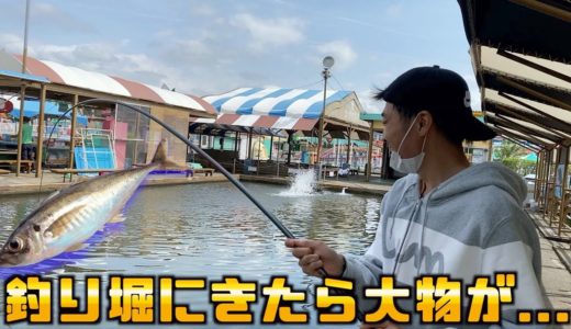 釣り堀にきたら大物が釣れた！！！