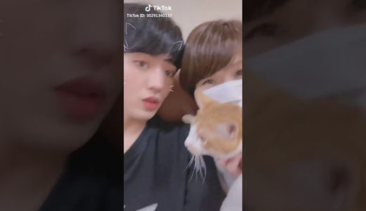 桐崎栄二のTikTokから