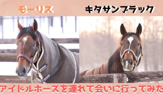 アイドルホースが本人にあってみた社台編