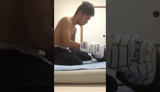 黎明VSメイウェザー