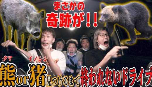 【第二回】熊or猪見つけるまで終われないドライブで奇跡が起きた！！ついに！？