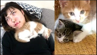 子猫が妹の胸から動かない。1日