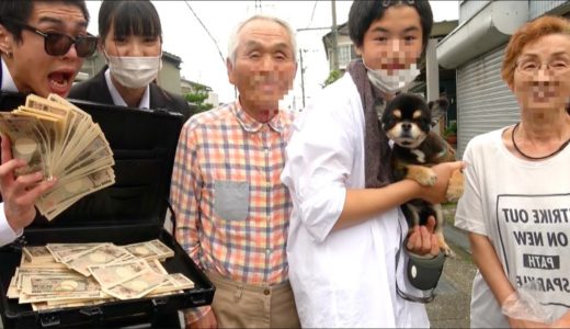 知らない家族に1000万円で愛犬を売って貰えるか兄妹で聞いてみた。24時間詐欺師