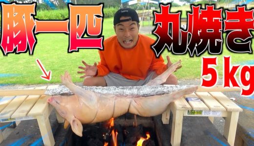 【人生初】豚の丸焼き1匹食べ切れるまで終われません！！
