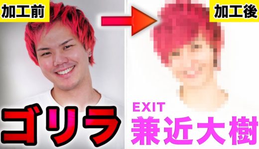 【フォトショ職人】あのイケメン芸人に変身したらゴリラ消滅w【EXIT】