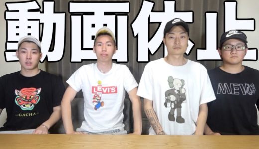 毎日投稿していましたが動画投稿休止します。