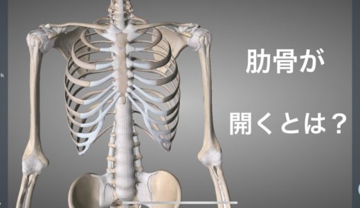 肋骨が閉じてる、開いてる原因について解説してみた