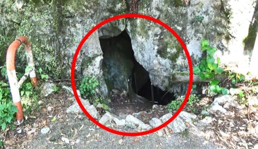 洞窟の中でヤバすぎる生物に遭遇…
