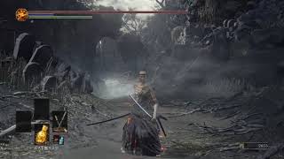 miburoの【PS4版 ダークソウル3】♯1 剣神 ～KENJIN～ 世界を斬る 28周目 sl130 赤白歓迎合 言葉使う時は「326」