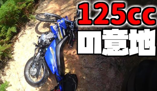 引きこもりが行く林道ツーリング【やはり再挑戦してもコケる運命】XTZ125