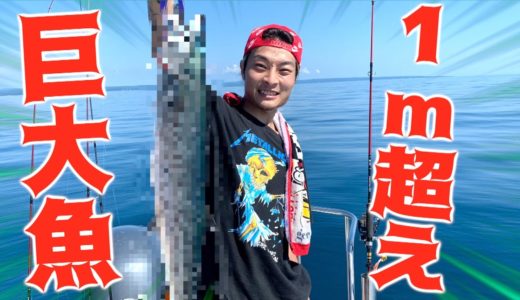 【爆釣】船釣りに行ったら巨大な青物が大漁に釣れた！！【前編】