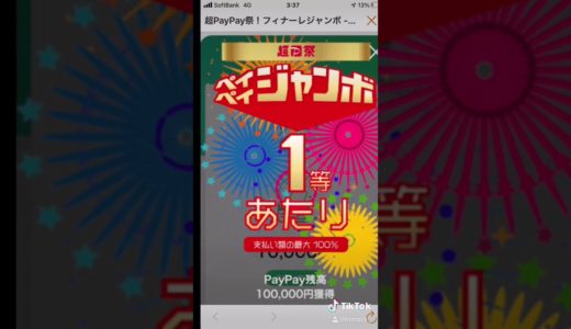 見えた？