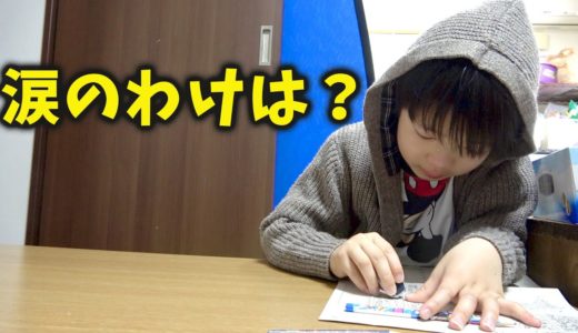 お兄ちゃんの涙。。。 家族Vlog