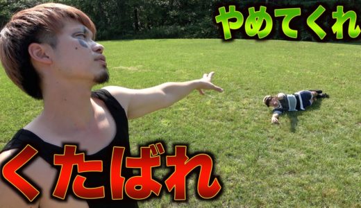 【王を決める戦い】間違って人間を攻撃し続ける魔物