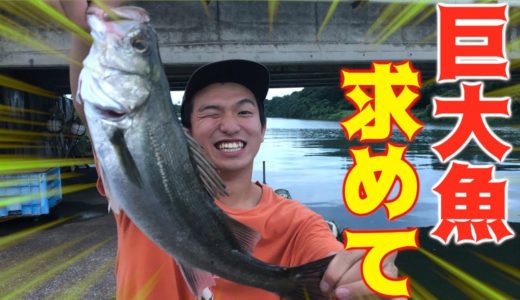 【第1弾】巨大魚を釣るまで終われません！！