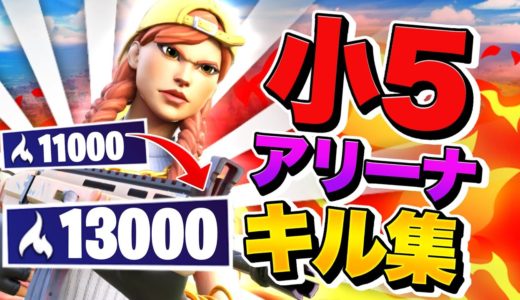 小５ アリーナ13000pt キル集【Fortnite】