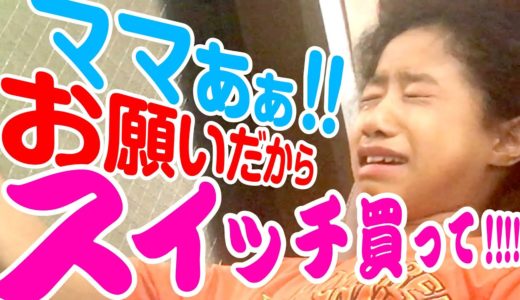 ニンテンドースイッチのあつ森セットが欲しすぎて朝から大号泣！そしてついにダンボールでスイッチを作ってゲーム実況やっちゃう小4女子の一日が泣ける
