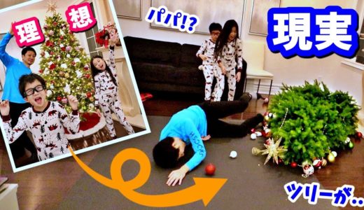 ツリーが倒れる～😫 クリスマスの理想と現実 2020