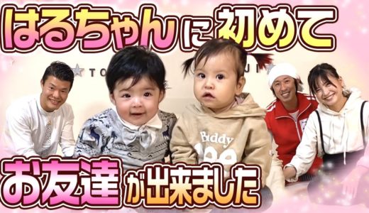 【赤ちゃんコラボ】はるちゃんにお友達が出来ました