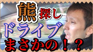 熊を探しに山の中にドライブしたらまさかの結果に感動した！
