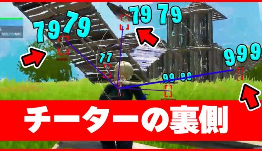 【衝撃】倒せたら１億円。隠されたチーターの裏が怖すぎる。【フォートナイト】