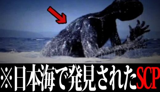 【衝撃】謎の危険生物SCPの生態がヤバすぎてツッコミどころ満載だったwwwww#25【SCP】【都市伝説】【なろ屋】【ツッコミ】