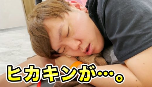 ヒカキンが1年で1番疲れてる日に行ったら死んでた。