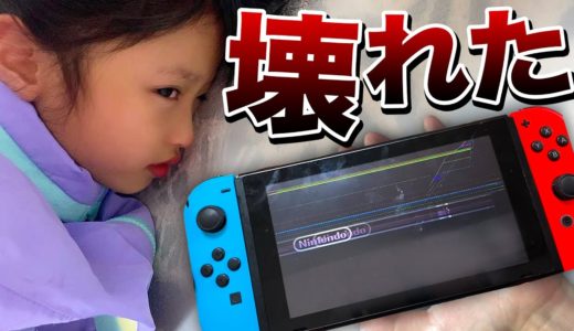 【本当です】お兄ちゃんがスイッチを壊してしまったのでののに報告します。