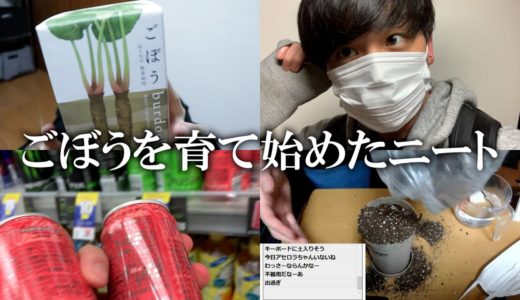 ごぼうを育て始めたニートの１日