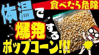 【ドッキリ】体温ではじけるポップコーンを食わせてみた！＋AE86トレノでドライブデート