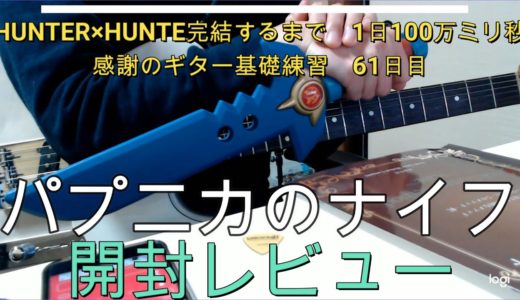 パプニカのナイフ　開封　ダイの大冒険　BIGウェポンコレクション　ハンター×ハンター　連載再開　完結するまで　1日100万ミリ秒　感謝のギター基礎練習　61日目　HUNTER　ベース