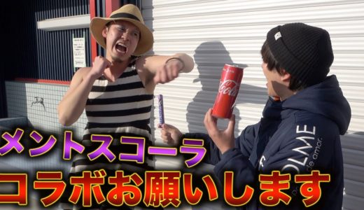 【迷惑系ユーチューバー】コラボを頼みすぎてボコボコにされてしまう