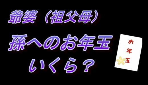 孫へのお年玉いくら？我が家のお年玉事情2021
