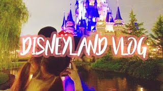 【vlog】妹と夏５でディズニー行ってきた！・Disney Land Vlog!!!!!