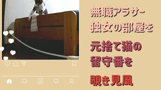 アラサー女ニートと元捨て猫の部屋を覗き見