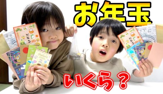 わたたけ兄弟は今年のお年玉いくらもらった？まさかの金額に驚愕！！