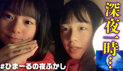 【今日は夜ふかし】深夜1時…真夜中にひまーるがしていたこと【お泊まりルーティン】