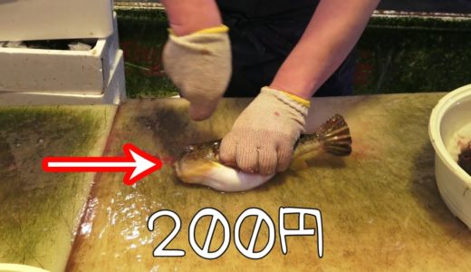 【動く刺身】一匹200円で買えるフグは果たしてうまいの？？