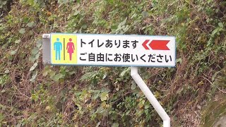 道路沿いにある、親切なトイレの看板のトイレに行ってみた！