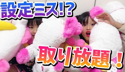 ゲーセン勝負が即終了！？設定ミスで必ず取れる台を見つけてしまった！！【ここのの】