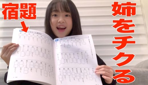 姉が冬休みの宿題をやってなかったのでママにばらしてみた…