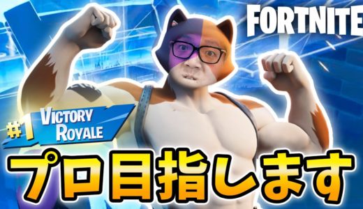 ヒカキン氏、初の正統派ビクロイ!? プロの道へ…(自称)【フォートナイト】【FORTNITE】