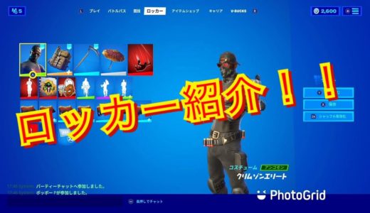 【フォートナイト】僕のロッカー紹介！！