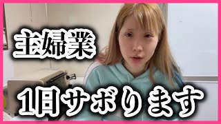 【1日密着】ちいめろが家事をサボったら！？