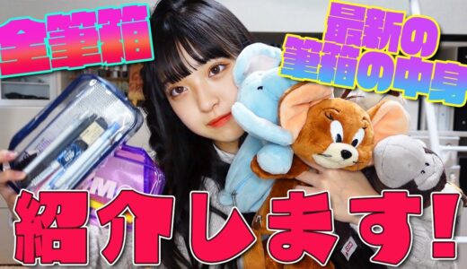 【筆箱全紹介】みなみの最新の筆箱&中身紹介します！