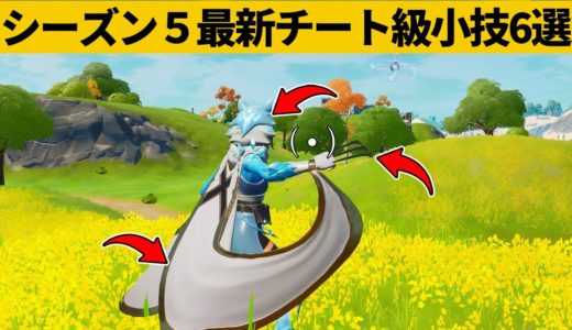 非売品のチートアイテムを装備する方法！！！シーズン５最強バグ小技裏技集！【FORTNITE/フォートナイト】