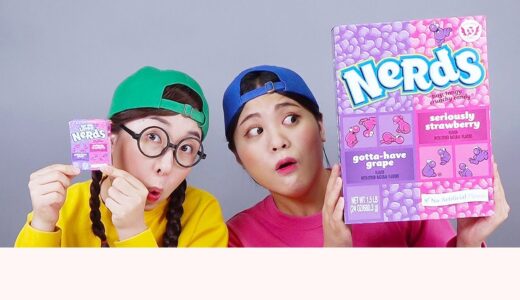ビッグフードVSスモールフードチャレンジドナ