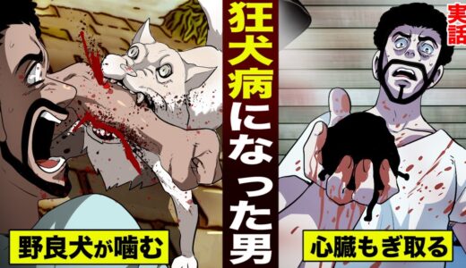 【実話】狂犬病になった男。ムカついて…野良犬の心臓をもぎ取る。